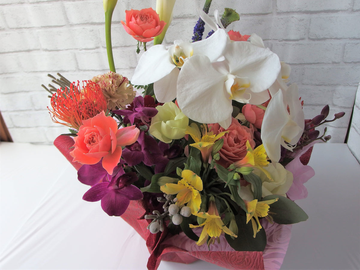 推し花は胡蝶蘭