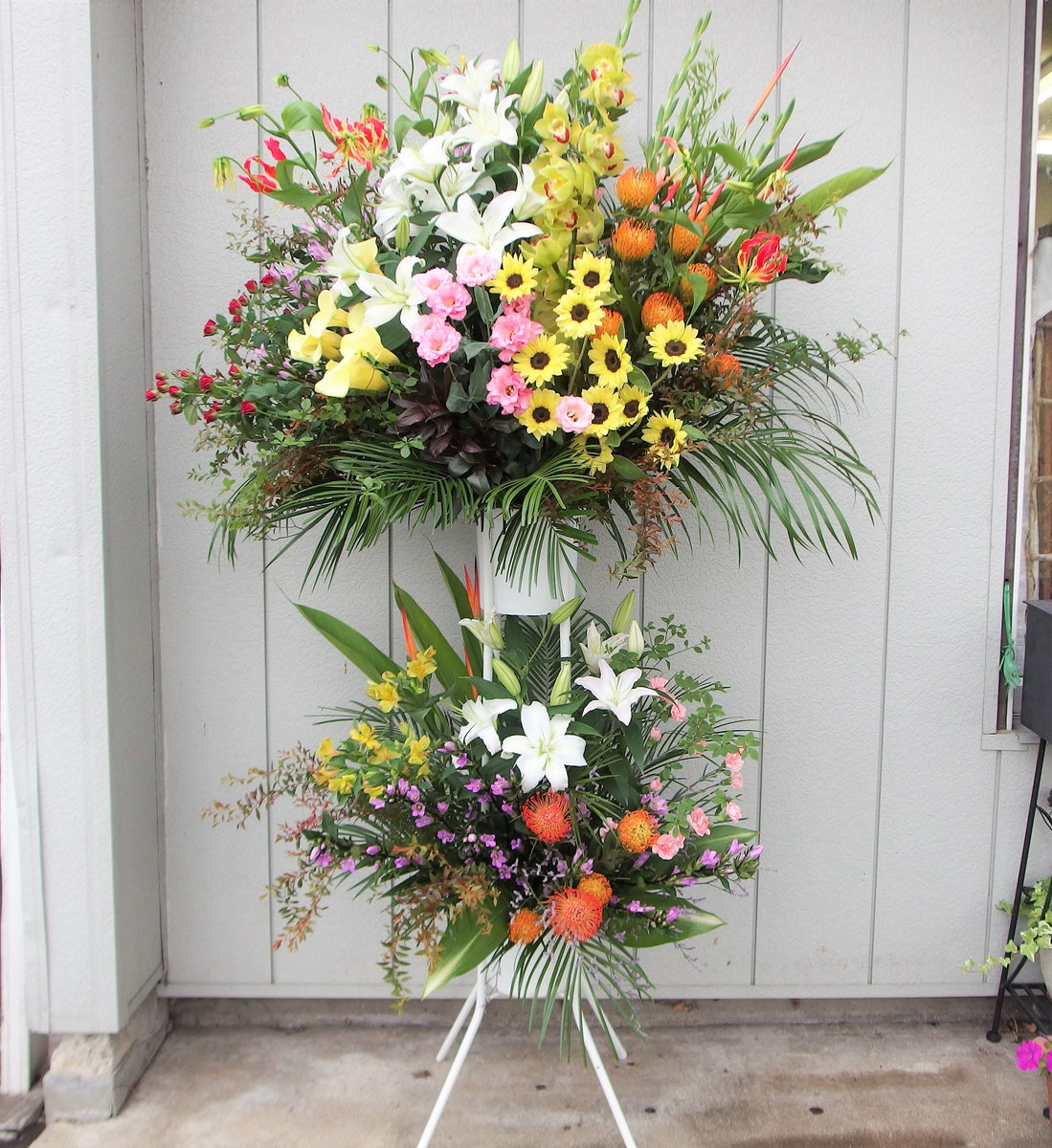 P1010661_1200x1200.jpg?v=