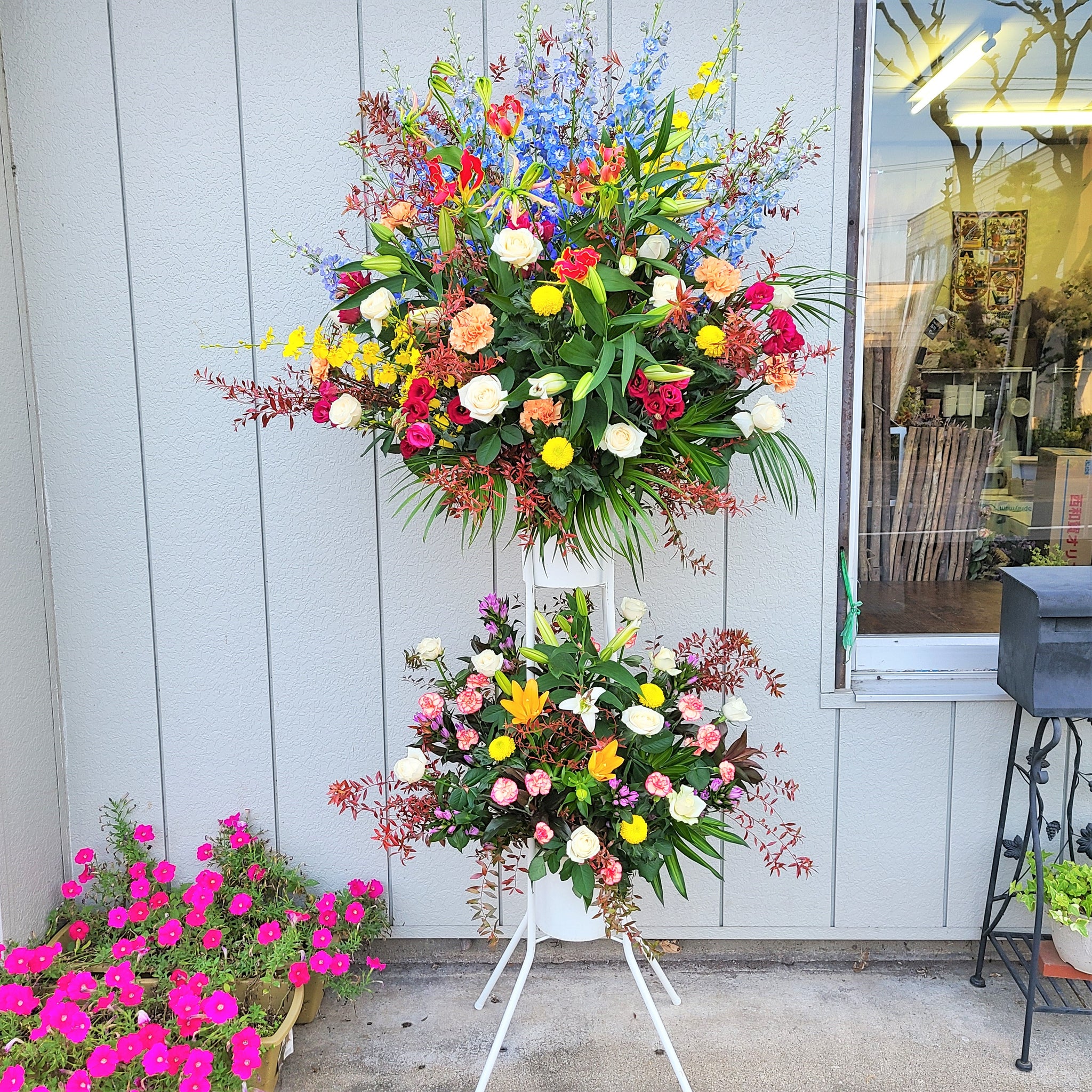 花芽2つ出ています バニラのような甘い香り スタンホペア 花芽2つ出ています バニラのような甘い香り スタンホペア
