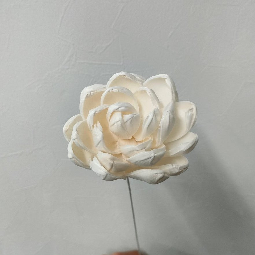 ソラフラワー 白